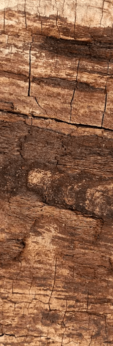 Detalle de madera utilizada en los embalajes VAC